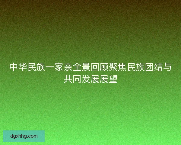 中华民族一家亲全景回顾聚焦民族团结与共同发展展望